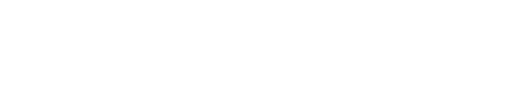 light logo